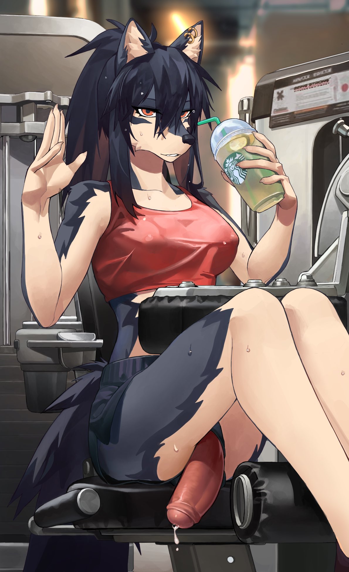 1futa anthro black_hair black_shorts breasts crop_top cup drinking earrings erect_nipples exercise exercise_equipment exercising flaccid futa_only futanari gym holding_cup knifedragon large_breasts looking_at_viewer nipple_bulge original penis penis_out penis_through_leghole ponytail precum precum_drip red_crop_top red_eyes shorts starbucks sweat tagme telson wolf wolf_ears wolf_girl wolf_tail