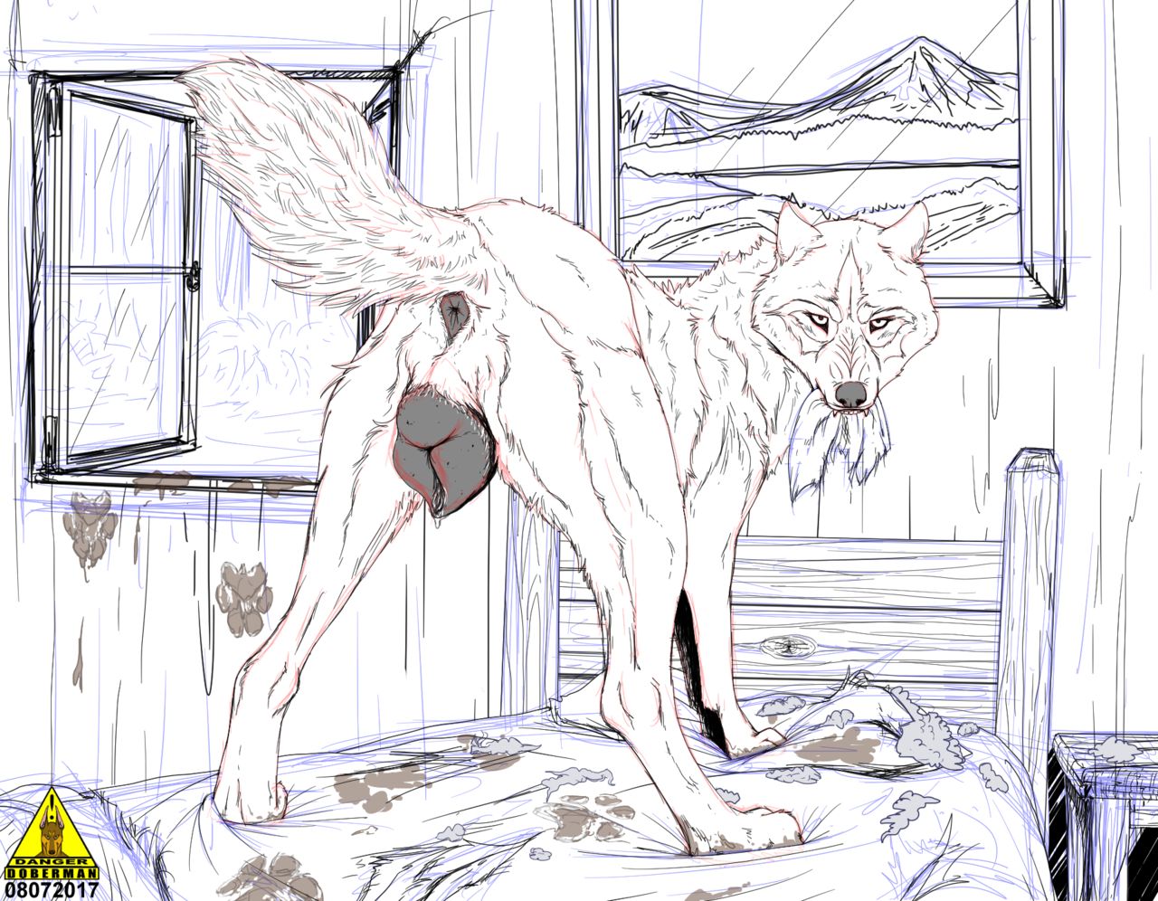angry, anus, canine, canine pussy, dangerdoberman, female, feral, looking back, pussy, tagme, wolf