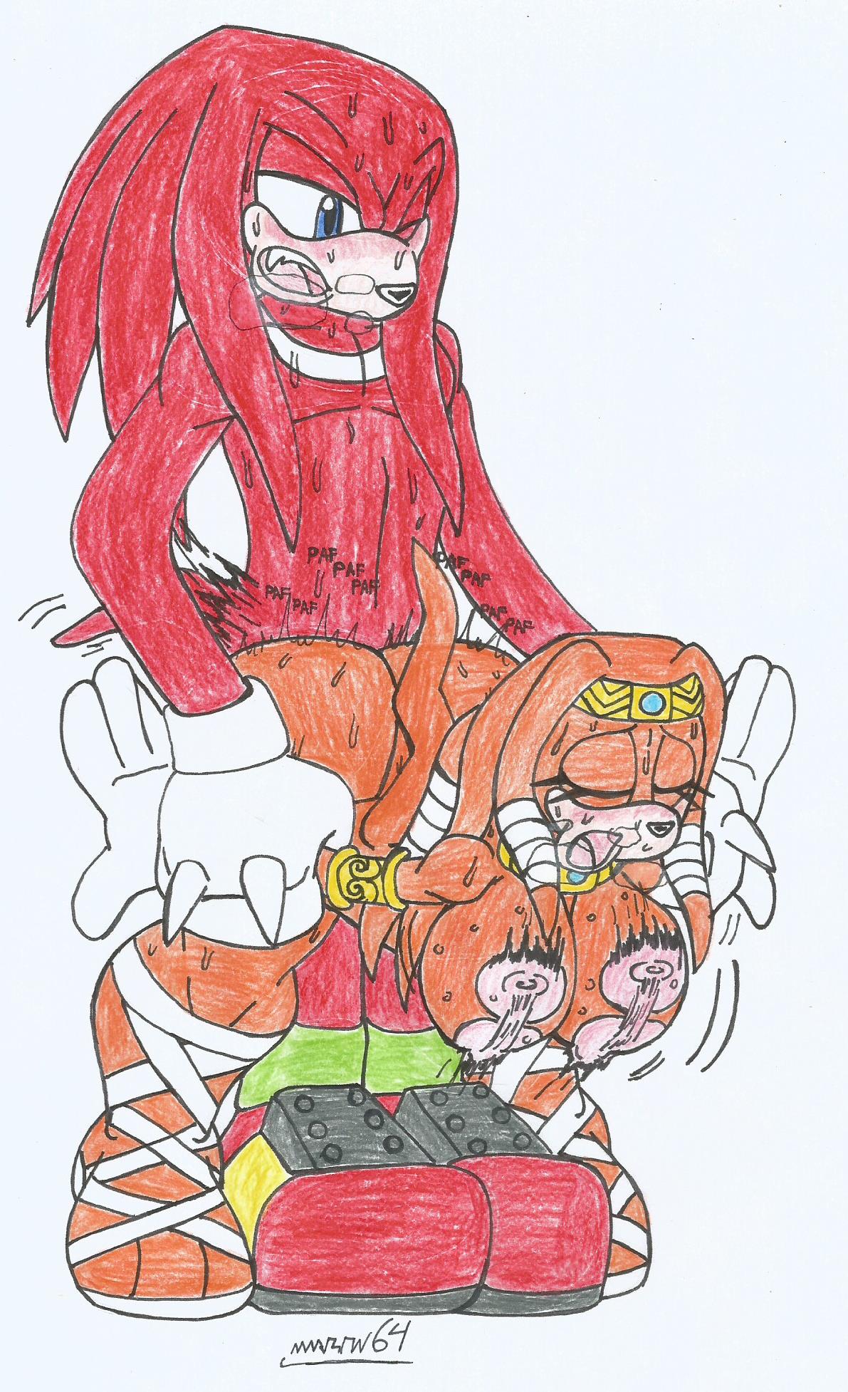 Knuckles The Echidna (Sonic (Series)) Rule 34 Image