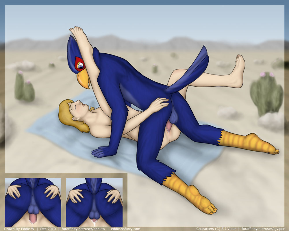 anthro ass_grab beige_skin closed_eyes color day desert falco_lombardi female human male missionary_position nintendo nude open_eyes outdoors penis pheasant sex star_fox tagme testicles vaginal_penetration vulva