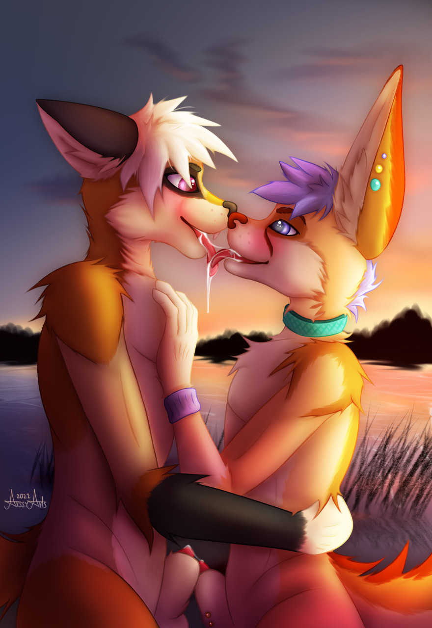 arssyarts bodily_fluids canid canine collar drooling duo embrace eye_contact fennec fox genitals glans hi_res kissing lake looking_at_another male male/male mammal penis piercing saliva saliva_string seed sunset