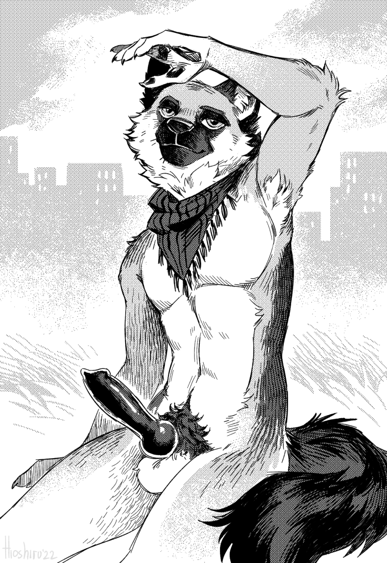 2022 animal_genitalia animal_penis anthro balls bandana bandana_only black_and_white building canid canine canine_penis canis claws domestic_dog erection finger_claws genitals hioshiru kerchief kerchief_only knot looking_at_viewer male mammal monochrome mostly_nude original original_character penis pubes raised_arm sitting slim_anthro slim_male solo