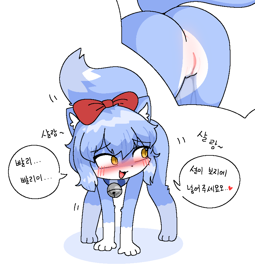 :3 all_fours anthro anus ass bedroom_eyes begging bell bell_collar blue_body blue_hair blush bodily_fluids bow_ribbon collar cutaway dialogue domestic_cat felid feline felis female genital_fluids genitals hair inner_ear_fluff kemono korean_text looking_back mammal motion_lines multicolored_body narrowed_eyes open_:3 open_mouth penetration_request potatobud3 presenting presenting_hindquarters presenting_pussy pussy pussy_juice seductive simple_background solo speech_bubble tail_motion tailwag text tiptoes translated tuft white_background white_body yellow_eyes