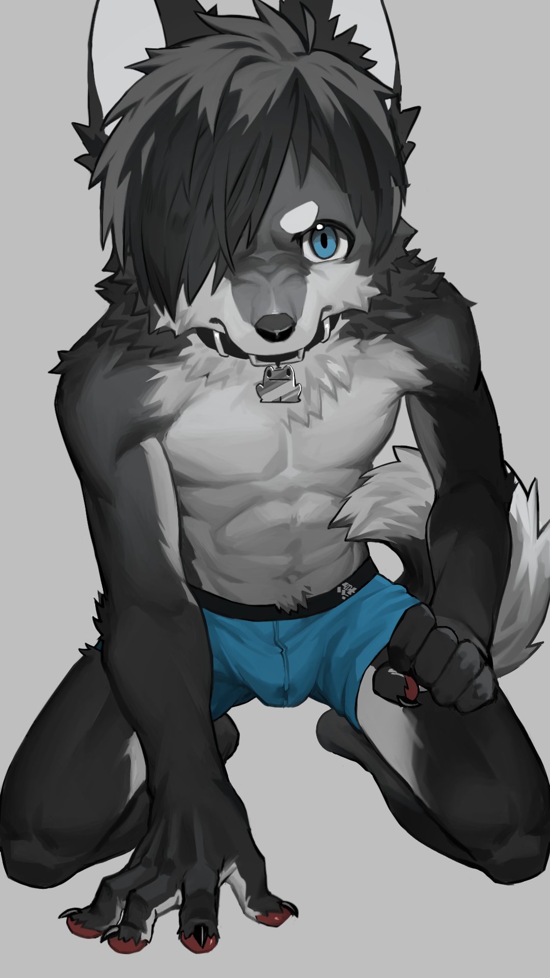 abs anthro athletic athletic_male bodily_fluids bulge canid canine canis clothed clothing collar genital_fluids hi_res male mammal meiutrola muscular_cub precum precum_through_clothing precum_through_underwear solo topless underwear wet wet_clothing wolf young