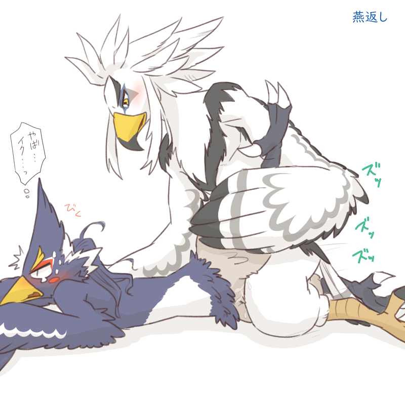 animal_genitalia anthro athletic athletic_anthro athletic_male avian beak blue_body blue_feathers blush breath_of_the_wild cloaca cloacal cloacal_kiss duo embarrassed feathers genitals kusachi looking_pleasured male male/male nintendo nude revali rito sex talons teba_(tloz) text the_legend_of_zelda white_body white_feathers yellow_beak