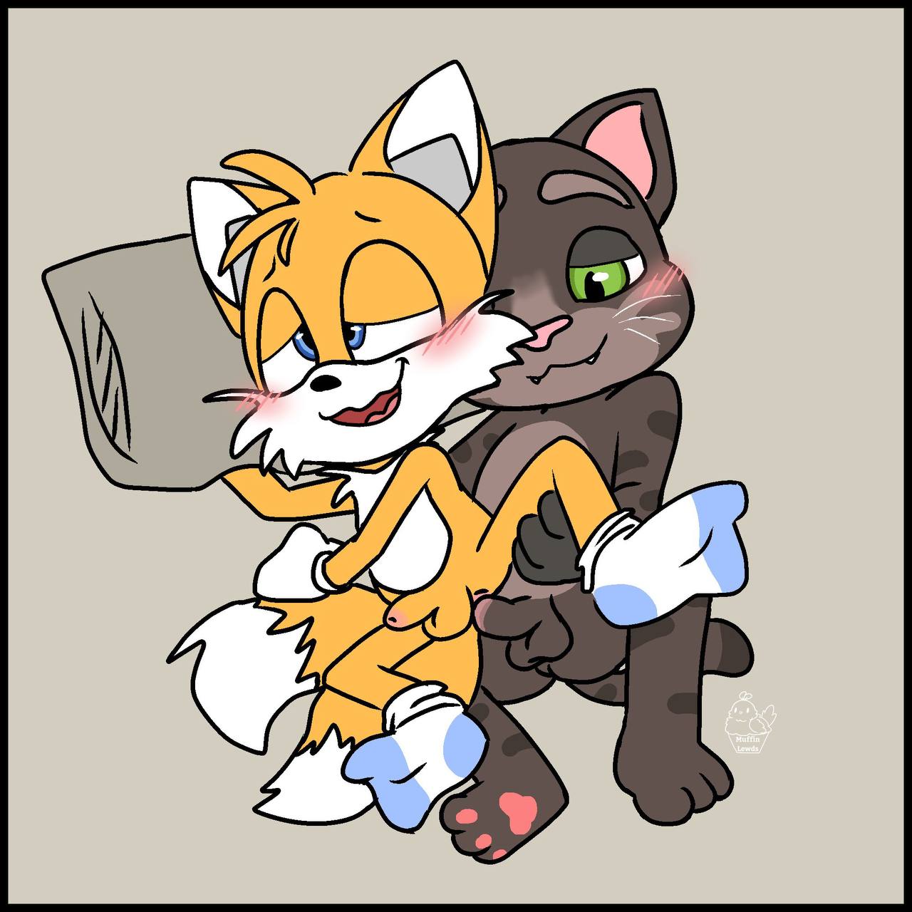 Tails The Fox (Sega) Rule 34 Image