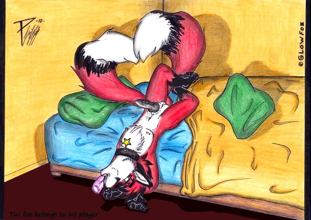 1boy 2010 anthro bed black blue canine collar dildo dildo_in_mouth erection fox fur furry glowfox green knot lying male male_only multiple_tails nipples oral original_character penis penis_piercing piercing pillows purple red_fox sex_toy solo star tag tail testicles