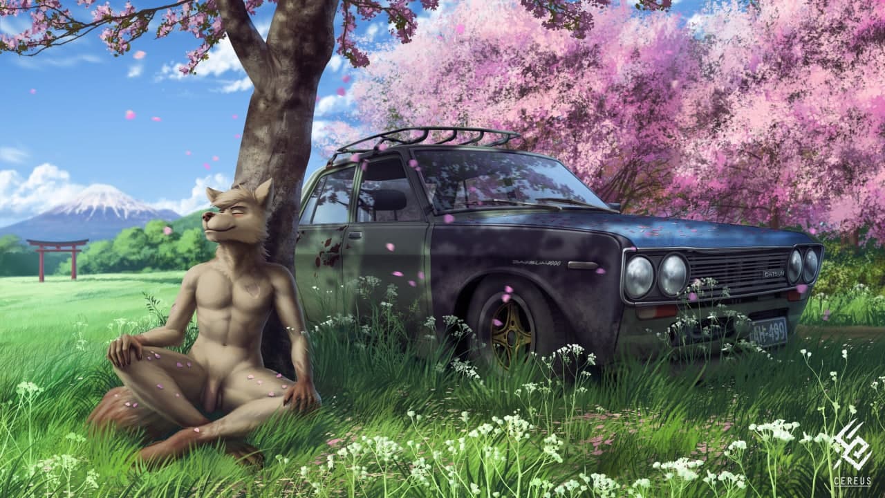 16:9 anthro artist_logo artist_name balls blue_sky canid car cereus93 cheek_tuft cherry_blossom cherry_blossom_tree cherry_tree closed_eyes closed_smile cloud detailed facial_tuft flaccid front_view fruit_tree full-length_portrait fur genitals grass hair humanoid_genitalia humanoid_penis logo male mammal mouth_closed nude outside penis plant portrait short_hair sitting sky solo tan_balls tan_body tan_fur tan_hair tan_penis tree tuft vehicle widescreen