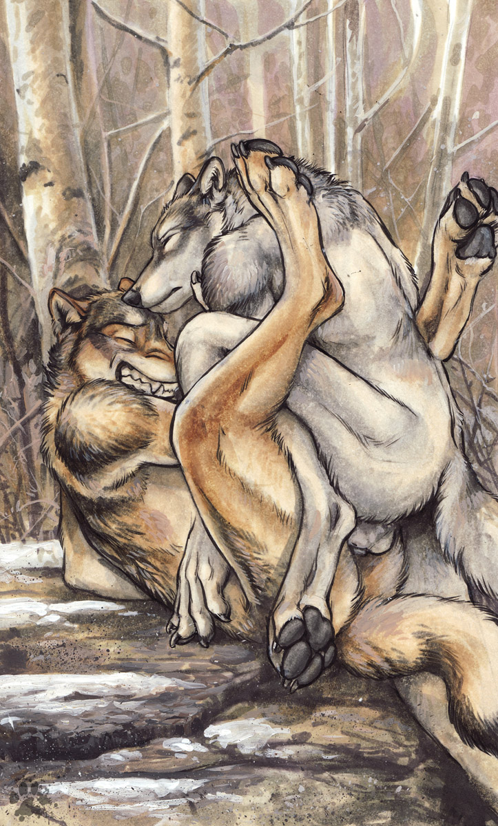 anal anal_sex anthro balls blotch brown_body brown_fur canid canine canis claws clenched_teeth closed_eyes duo feet fur genitals grey_body grey_fur grin hi_res inner_ear_fluff looking_pleasured male male/male male_penetrated male_penetrating male_penetrating_male mammal outside pawpads paws penetration sex smile teeth toe_claws toes tuft wolf