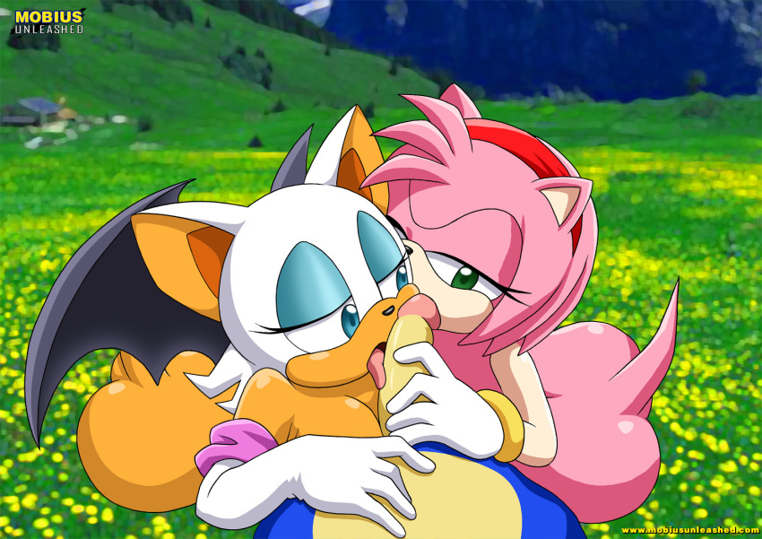 1boy, 2girls, amy rose, bbmbbf, blowjob, female, furry, male, mobian (species), mobius unleashed, outdoors, palcomix, rouge the bat, sega, sonic (series), sonic the hedgehog, sonic the hedgehog (series), threesome, unseen male face