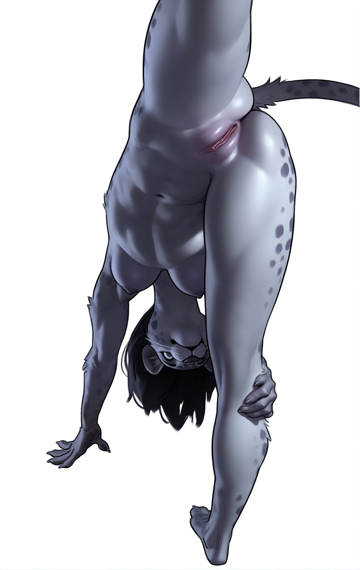 1girls, anthro, anthro female, ass, breasts, cat girl, completely nude, female, medium breasts, nipples, nude, nude female, presenting pussy, pussy, simple background, solo, solo anthro, solo female, stretching, upside-down, vertical splits, wheel of fortune (artist), white background, yoga