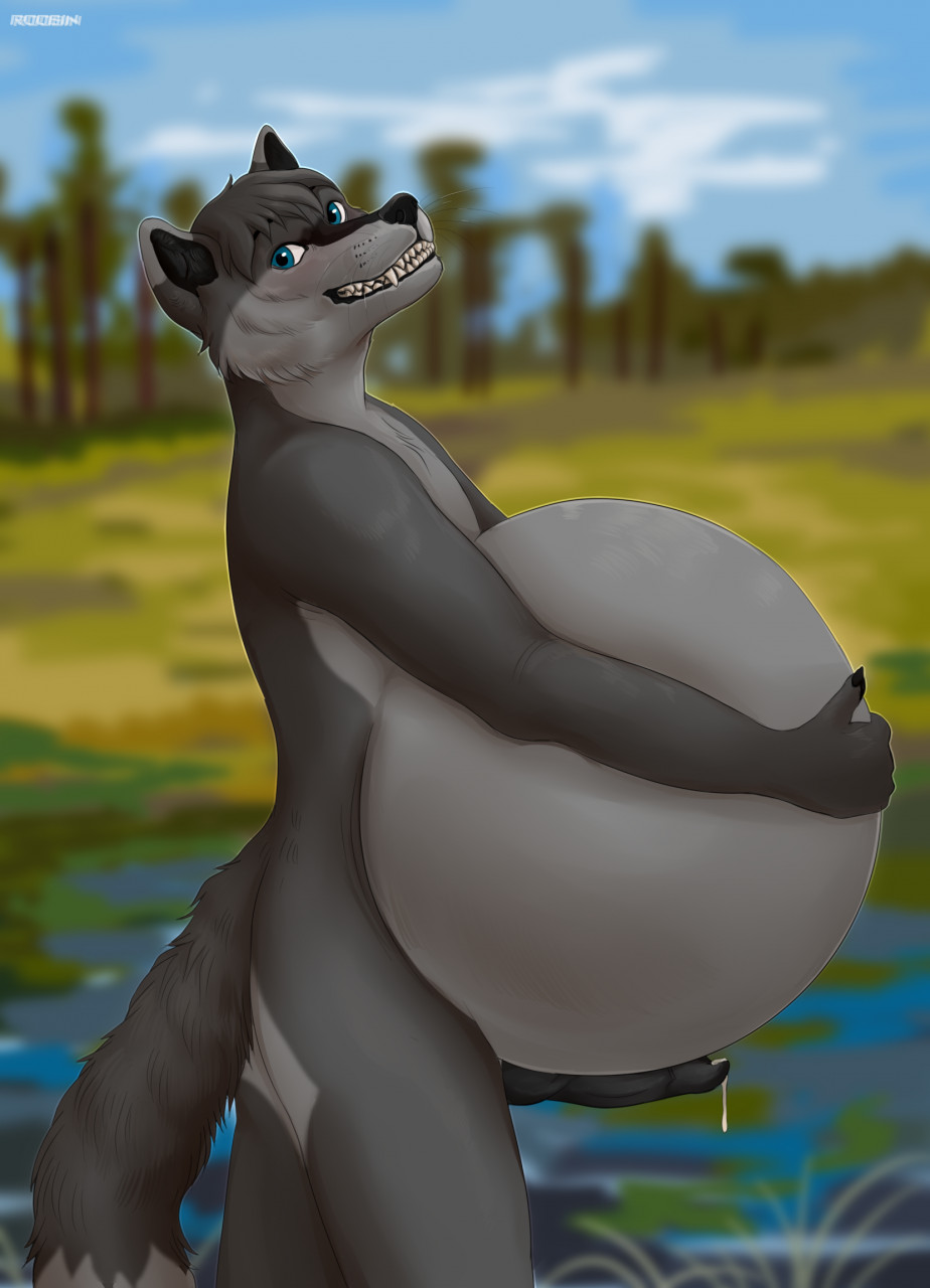 anthro artist_name belly big_belly black_penis blue_eyes blurred_background canid erection fangs fur genitals glistening glistening_eyes grey_body grey_fur grey_hair grin hair hi_res holding_belly huge_belly looking_at_viewer male mammal nude outside penis portrait roobin side_view smile solo standing teeth three-quarter_portrait