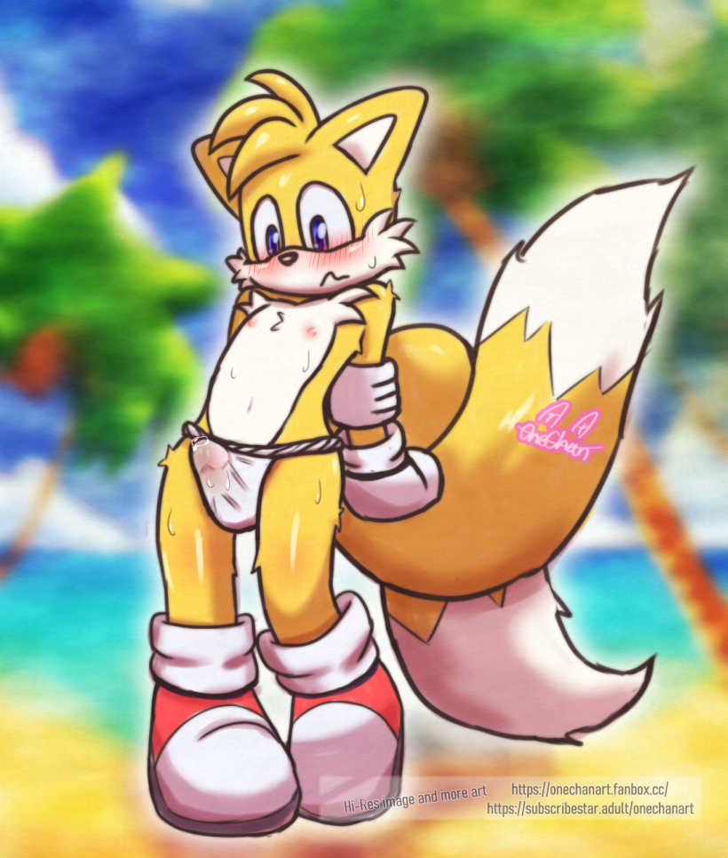 asian_clothing blush bodily_fluids bulge clothing east_asian_clothing exhibitionism footwear fundoshi handwear japanese_clothing male male_focus male_only nipples non-human onechan outside public public_nudity sega solo sonic_(series) sonic_the_hedgehog_(series) sweat tails underwear