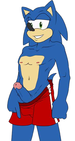 anthro aval0nx babysitting_cream blue_arms clothes color erection fur furry green_eyes hedgehog male male_only penis solo sonic_(series) sonic_the_hedgehog standing swimming_trunks tagme tail topless