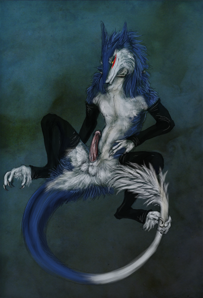 2012 anthro armwear balls blue_body blue_fur claws clothing collar erection fur genitals isvoc legwear looking_at_viewer male mammal markus_(dowantanaccount) mostly_nude multicolored_body multicolored_fur penis presenting presenting_penis sergal sitting solo spread_legs spreading two_tone_body two_tone_fur white_body white_fur