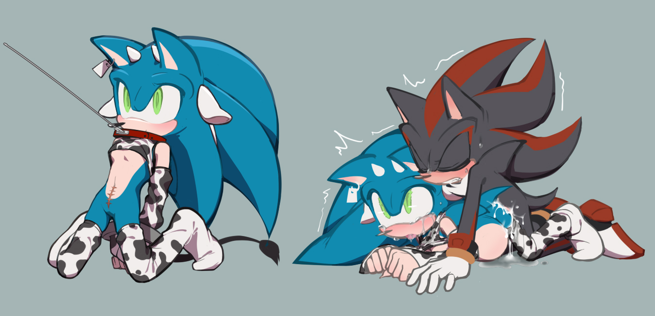 1cuntboy, anthro, belly bulge, collar, cow ears, cow horns, cow print, crying, cum, cum drip, cum in pussy, cum inflation, cuntboy, furry, inflation, intersex, leash, male, pussy, scar, shadow the hedgehog, sonadow, sonic (series), sonic the hedgehog, thighhighs, vagina, yaoi
