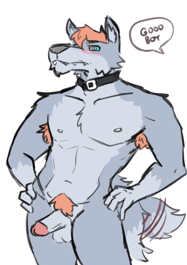 anthro armpit_hair athletic athletic_anthro athletic_male balls biped blush body_hair canid canine canis collar collar_only digital_media_(artwork) english_text erection eyebrows fur genitals good_boy grey_body grey_fur hands_on_hips hickeybickeyboo humanoid_genitalia humanoid_penis male mammal navel nipples nude offscreen_character pecs penis pubes solo speech_bubble tail tail_motion tailwag teeth text wolf