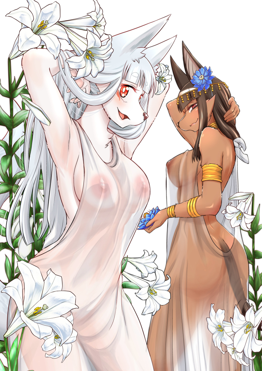 2girls anpu anthro anubis areolae artist_request big_breasts breasts brown_fur brown_hair canid canine canis clothing deity duo edit egyptian_mythology female female_only hair high_school_inari_tamamo-chan! jackal large_breasts long_hair looking_at_viewer mammal middle_eastern_mythology mythology nipple_outline nipples nipples_visible_through_clothing no_bra open_mouth red_eyes side_boob simple_background smile tamamo_fushimi translucent translucent_clothing unknown_artist white_background white_fur white_hair zenonzard