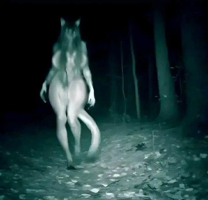 1girls attractive attractive_monster big_breasts black_hair claws curves curvy_figure dark_forest eye_covered female_only forest furry huge_breasts kemonomimi long_hair looking_at_viewer night nighttime scp-1471 scp_foundation skull_crushing_thighs taller_female taller_girl thick_thighs