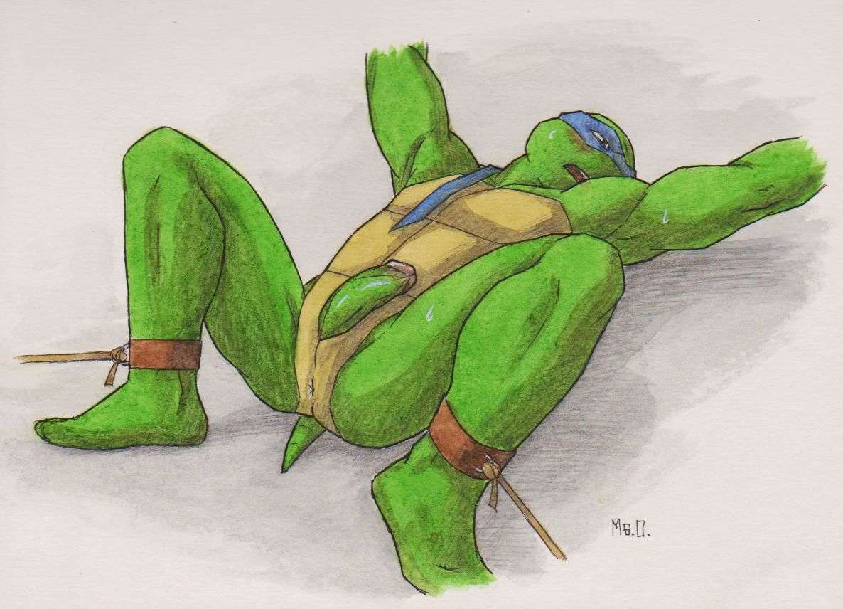 4kids_entertainment armpit armpits captured gay green green_body green_skin leo leonardo leonardo_(2003) leonardo_(tmnt) msobscure nsfw teenage_mutant_ninja_turtles teenage_mutant_ninja_turtles_(2003) tied_up tmnt tmnt_2003 traditional_media_(artwork) yaoi