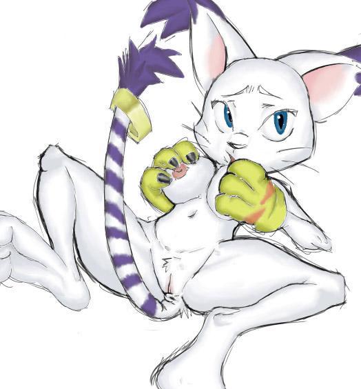 anthro breasts digimon female female_only gatomon gloves l1zardman lying mostly_nude nude on_back pussy solo tagme tail_between_legs white_fur