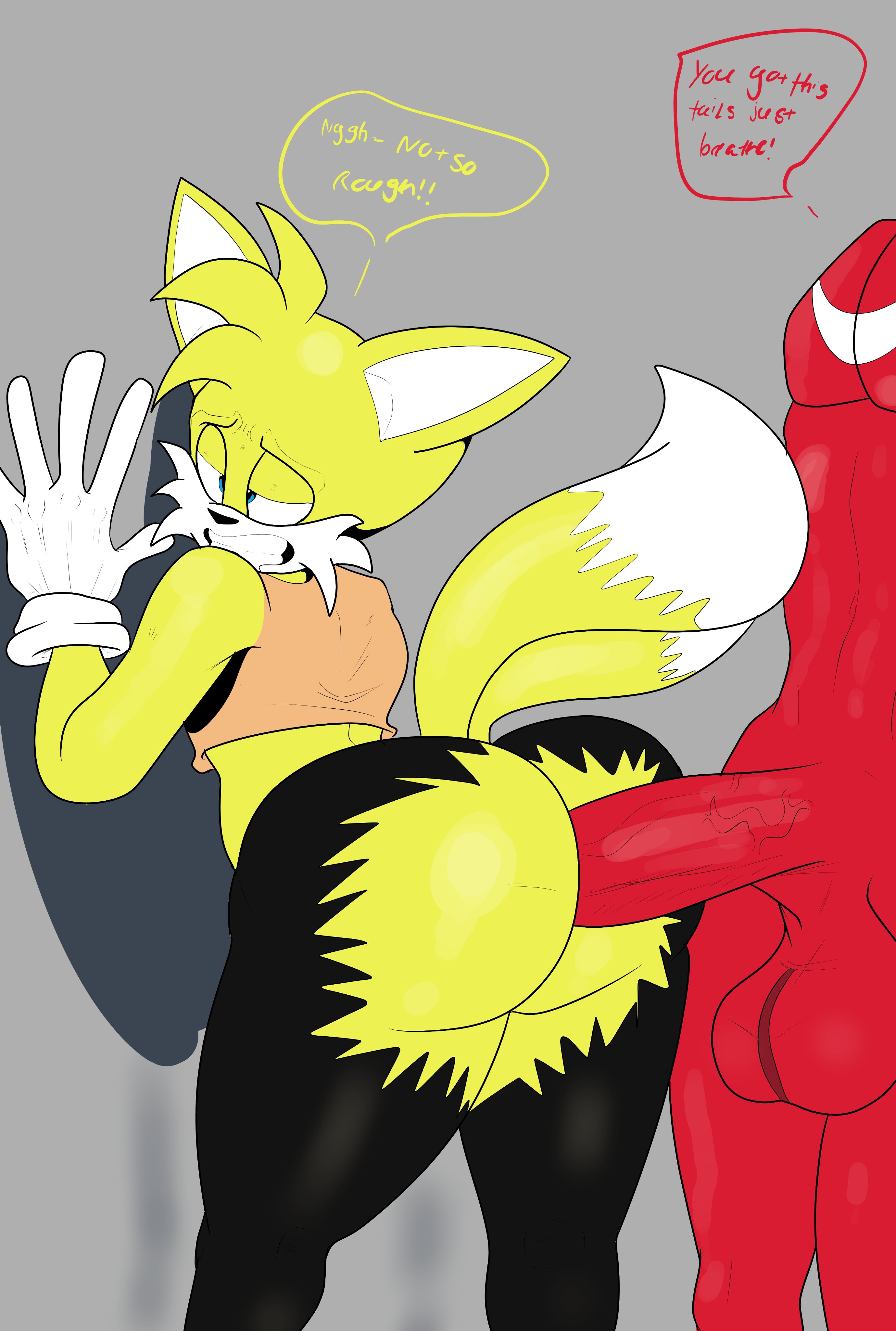 against wall, anal, anal insertion, anal sex, ass, balls, knuckles the echidna, male, male only, penis, penis in ass, ripped clothing, ripped pants, sega, sonic (series), sonic the hedgehog (series), susknuckles, tails, tails the fox, veiny penis