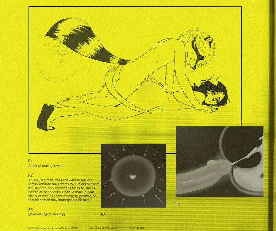 anthro ass blush breasts cum_in_pussy cum_in_uterus floor from_behind from_behind_position furry impregnation mating mouse racoon rat rattfood