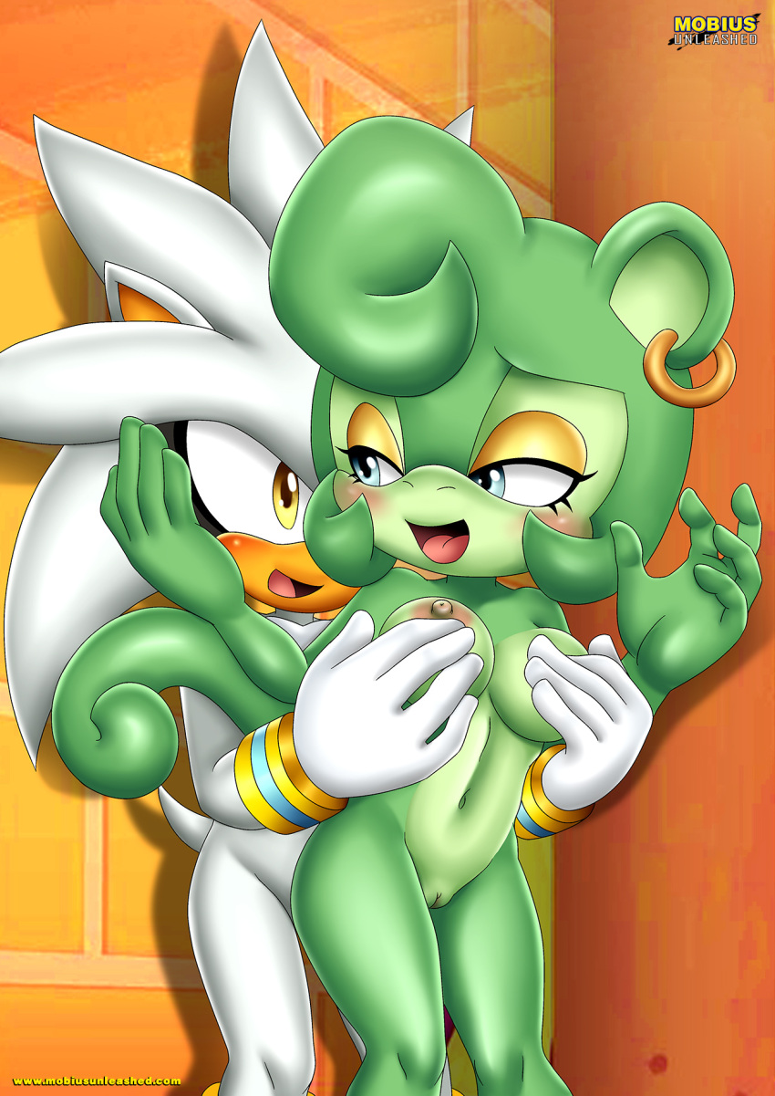 bbmbbf claire_voyance furry green_hair idw_comics idw_publishing male mobian_(species) mobius_unleashed palcomix sega silver_the_hedgehog sonic_(series) sonic_the_hedgehog_(comics) sonic_the_hedgehog_(idw) sonic_the_hedgehog_(series)