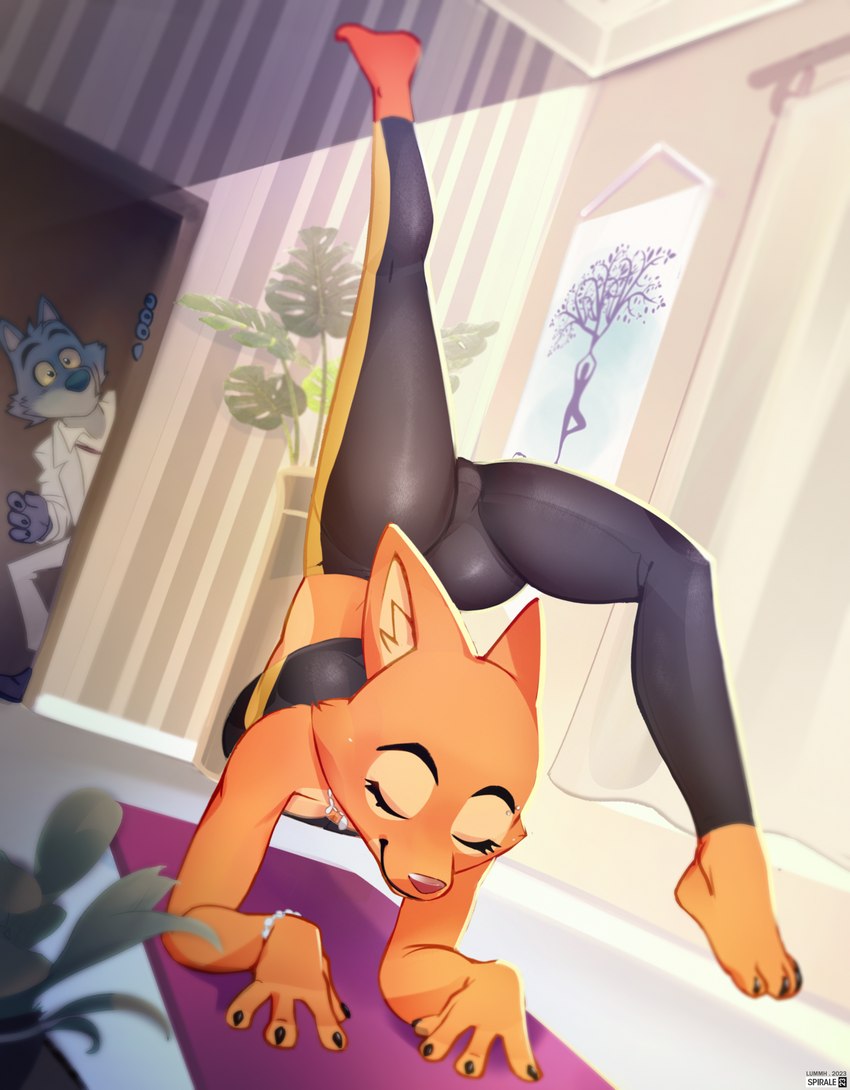 1boy, anthro, closed eyes, clothed, diane foxington, female, fox, grey fur, jpeg, leggings, male, mr. wolf (the bad guys), orange fur, the bad guys, white clothing, wolf, yellow eyes, yoga