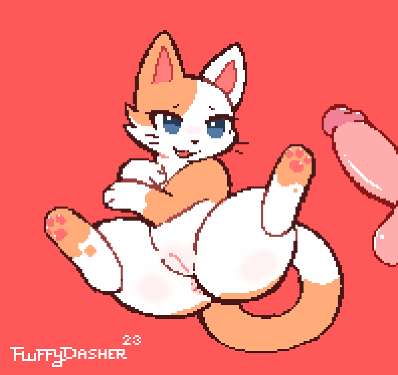 a_cat_is_fine_too cute_eyes digital_media_(artwork) domestic_cat felid feline felis female feral fluffydasher genitals mammal pawpads penis pixel_(artwork) pixel_art pussy spots spread_legs spreading