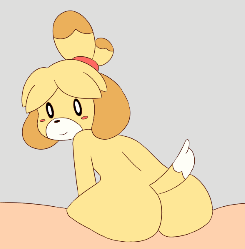 animal crossing, animated, anthro, ass, canid, canine, canis, female, female focus, female penetrated, fur, furry, isabelle (animal crossing), looking back, male, male penetrating, male penetrating female, male/female, nintendo, nude, penis, pussy, sex, short playtime, solo focus, straight, tail, vaginal penetration, yuruki