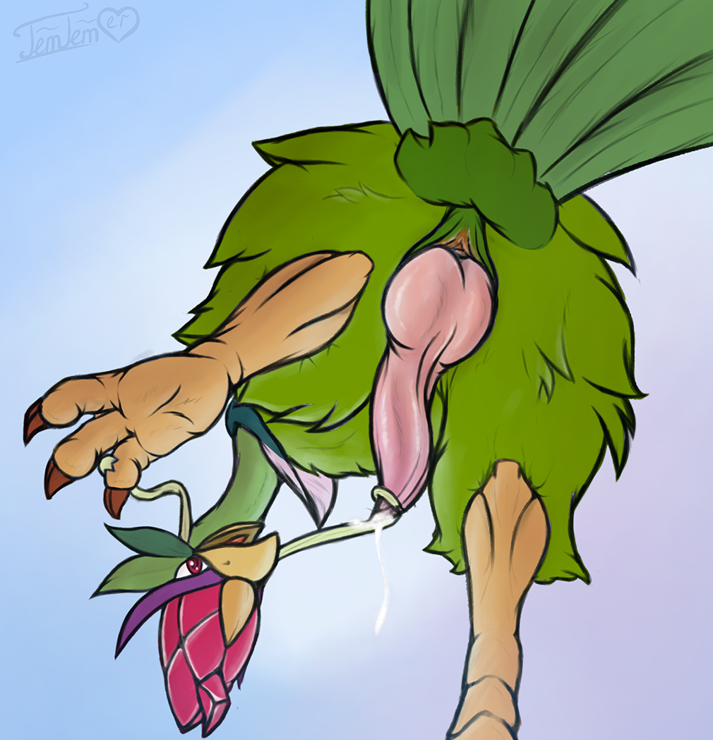 anthro avian backsack chimurian_(temtem) cloacal_penis feathered_tail feathers feral knot leaking limpid_plume_(temtemlover) looking_at_viewer male male_only on_one_leg presenting solo standing tail talons temtem_lover underfluffies view_from_below