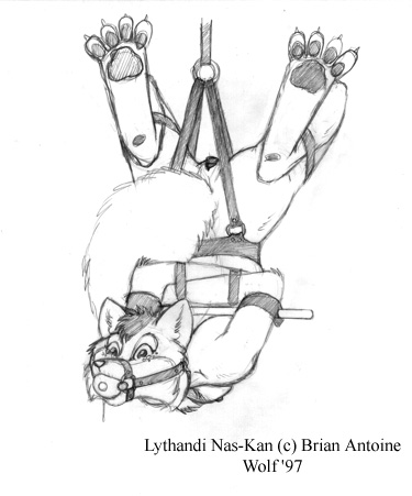 1990s 1997 20th_century ball_gag bondage female furry gag lythandi_nas-kan monochrome pussy solo spread_legs spreading suspension wolfkidd