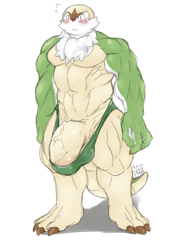 anthro balls bara barazoku big_balls big_penis blush bulge chesnaught furry male male_only muscles muscular nintendo penis pokémon_(species) pokemon pokemon_(species) sakurayahonpo solo solo_male thong