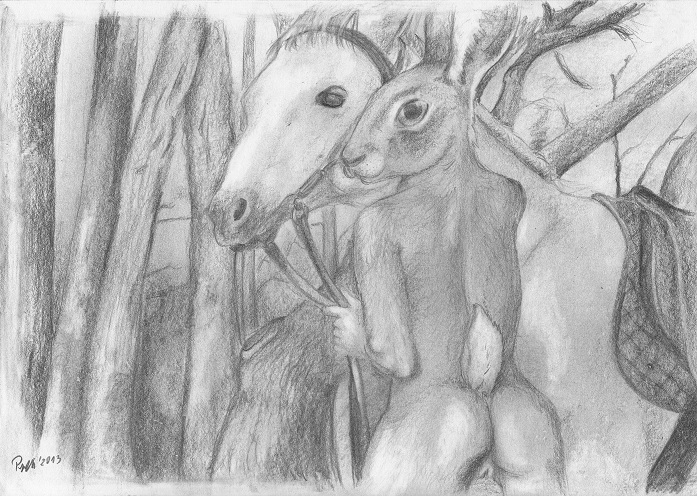 equine female feral foxia hare horse lagomorph male nude