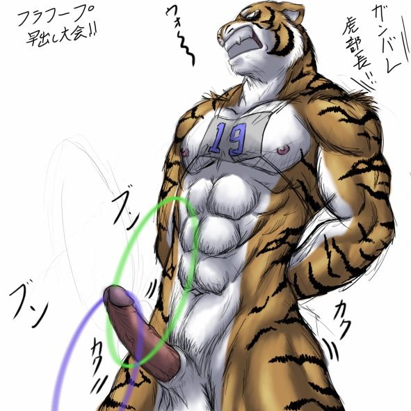 1boy angry anthro balls bomb_(artist) erection feline fur furry hula_hoop male male_only navel nude penis ring_toss solo stripes tiger