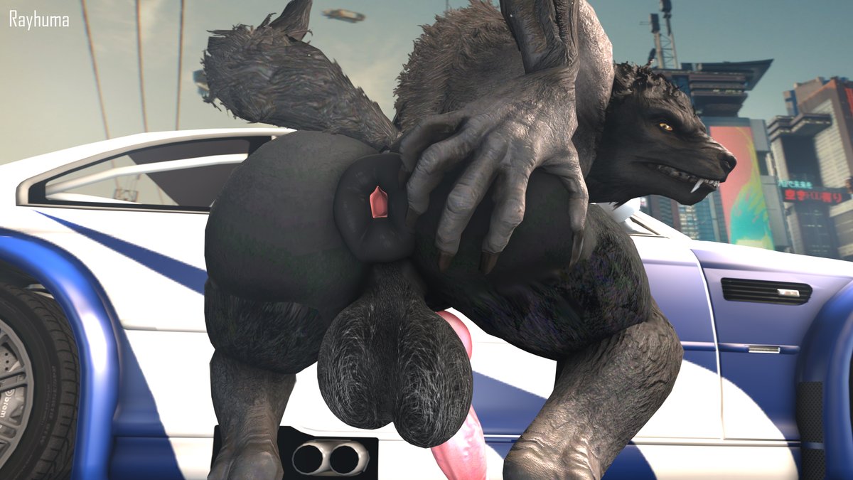 1boy, anthro, ass, balls, bethesda softworks, fur, furry, furry only, gay, humanoid, looking back, male, male only, presenting, presenting ass, presenting butt, rayhuma, skyrim, skyrim werewolf, solo, solo focus, the elder scrolls, werewolf, wolf, yaoi