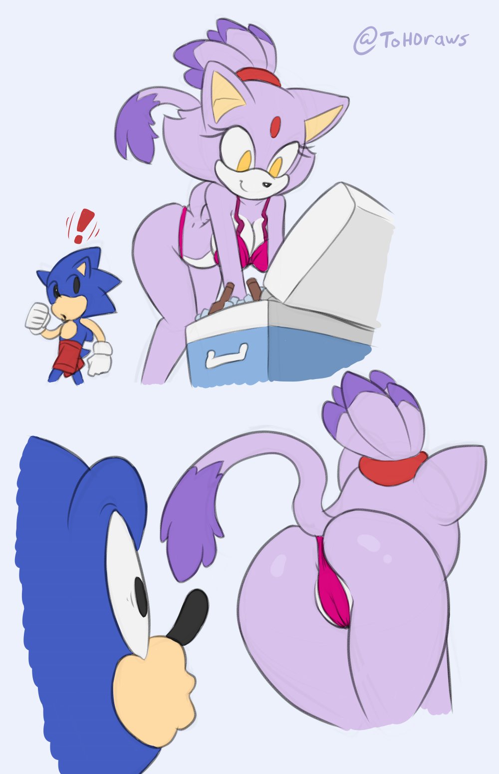 anthro ass bikini blaze_the_cat blue_fur bottle breasts cameltoe eulipotyphlan felid feline felis female hi_res ice kitchen_appliance looking_at_ass male princess purple_body purple_fur rear_view royalty sega simple_background sonic_(series) sonic_the_hedgehog sonic_the_hedgehog_(series) swimsuit the_other_half thong two_tone_body