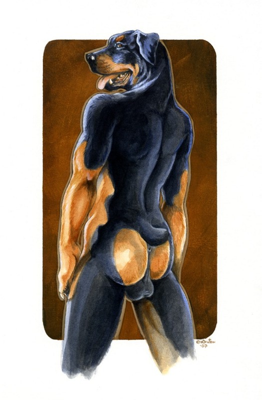 2007 anthro anus ass backsack balls black_body black_fur canid canine canis domestic_dog fur genitals heather_bruton male mammal mastiff molosser multicolored_body multicolored_fur nude rottweiler short_tail solo tail tan_body tan_fur teeth tongue tongue_out