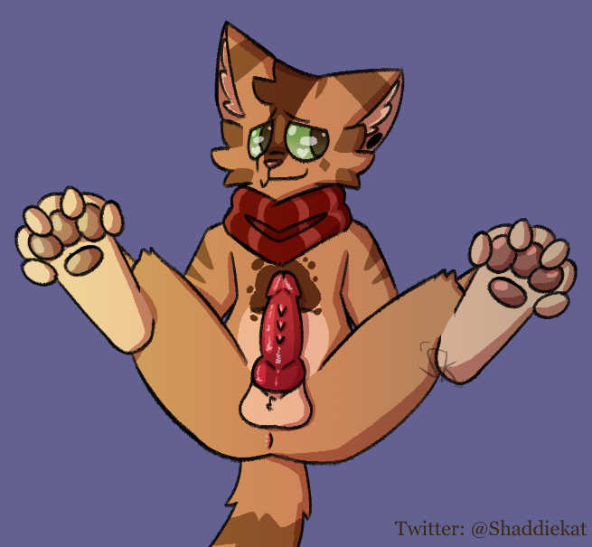 anthro balls brown_body brown_fur domestic_cat felid feline felis fur genitals male mammal mostly_nude ozul paws penis presenting presenting_penis red_scarf scarf scarf_only shadowkat simple_background sitting solo tail