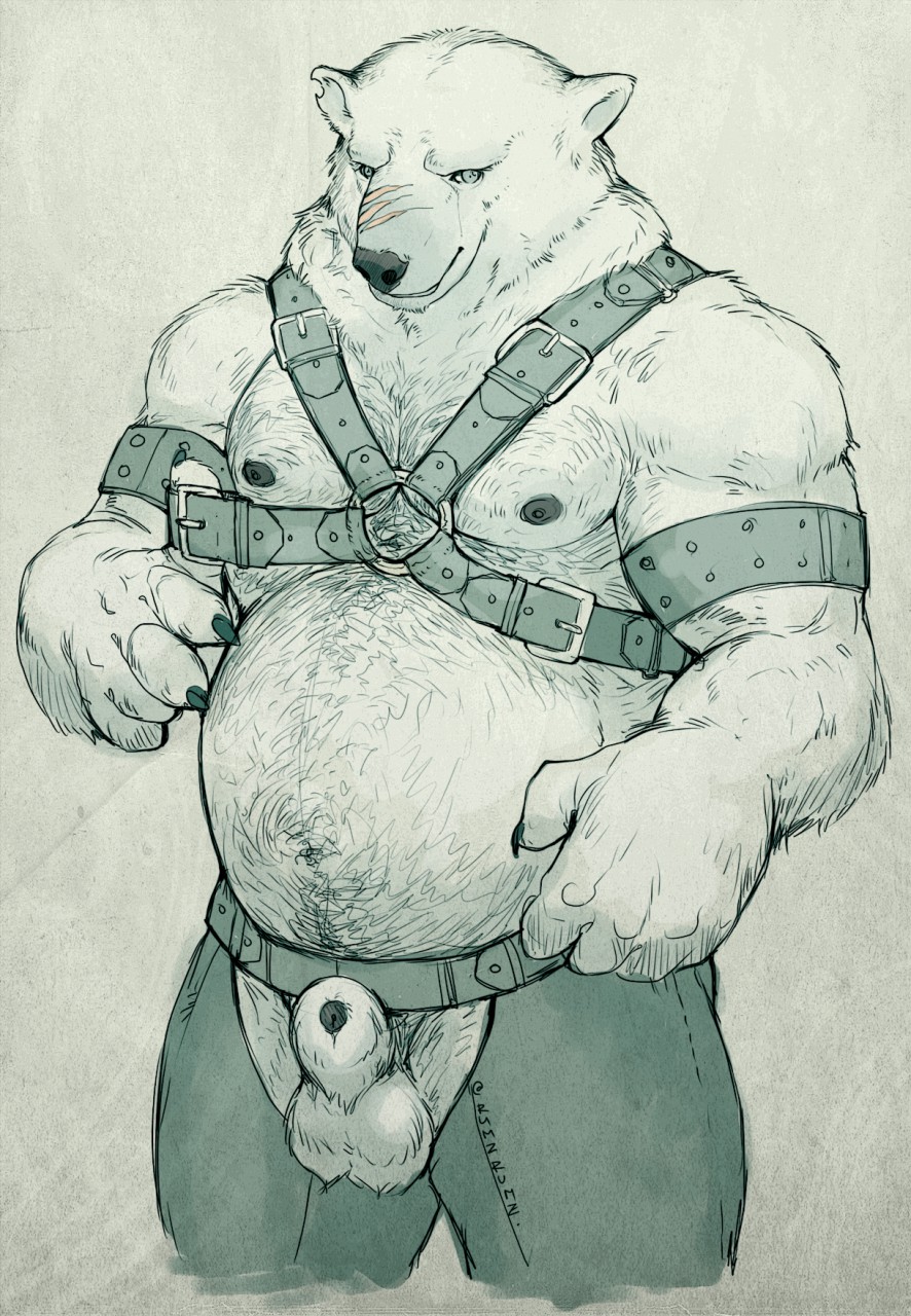 2015 animal_genitalia anthro balls bear belly_hair biceps body_hair bottomwear chaps chest_hair clothing crotchless_bottomwear crotchless_clothing crotchless_pants fully_sheathed garrodor genitals harness hi_res leather leather_harness looking_at_viewer male mammal manly mature_male musclegut muscular navel nipples nose_scar pants pecs penis pockyrumz polar_bear pubes sheath simple_background slightly_chubby solo standing triceps ursine