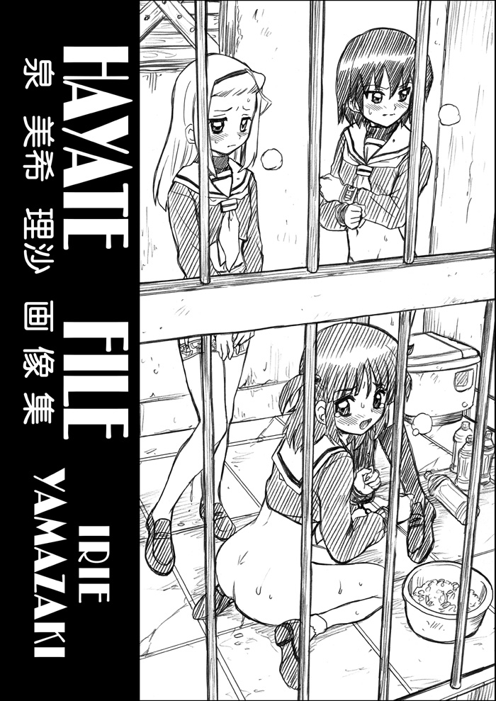 hayate_no_gotoku! irie_yamazaki pointy_chin tagme