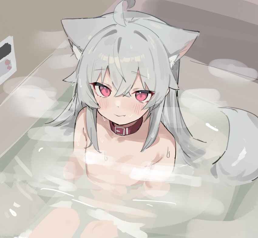 1girls, artist request, bathroom, bathtub, breasts, collar, female, female only, grey hair, in water, looking at viewer, small breasts, solo, tagme, wolf ears, wolf girl, wolf tail