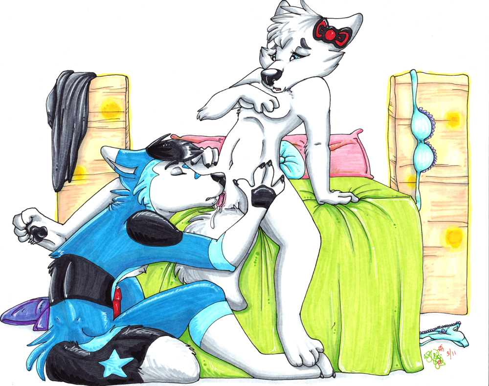 anthro bed bow breasts canine closed_eyes clothing covering cunnilingus eyes female fur furry husky lamp leo licking littlebluewolfleo male natalie nude paws penis red sex star tongue tongue_out wintersnowolf wolf