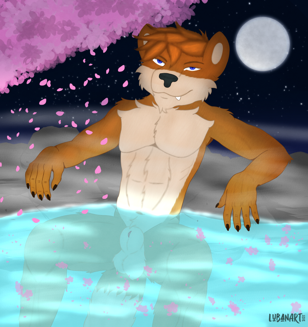 animal_genitalia anthro balls canid canine canis cherry_blossom cherry_blossom_tree cherry_tree digital_media_(artwork) fruit_tree fur galener genitals hot_spring looking_at_viewer lubanart male mammal moon nude plant smile solo tree water