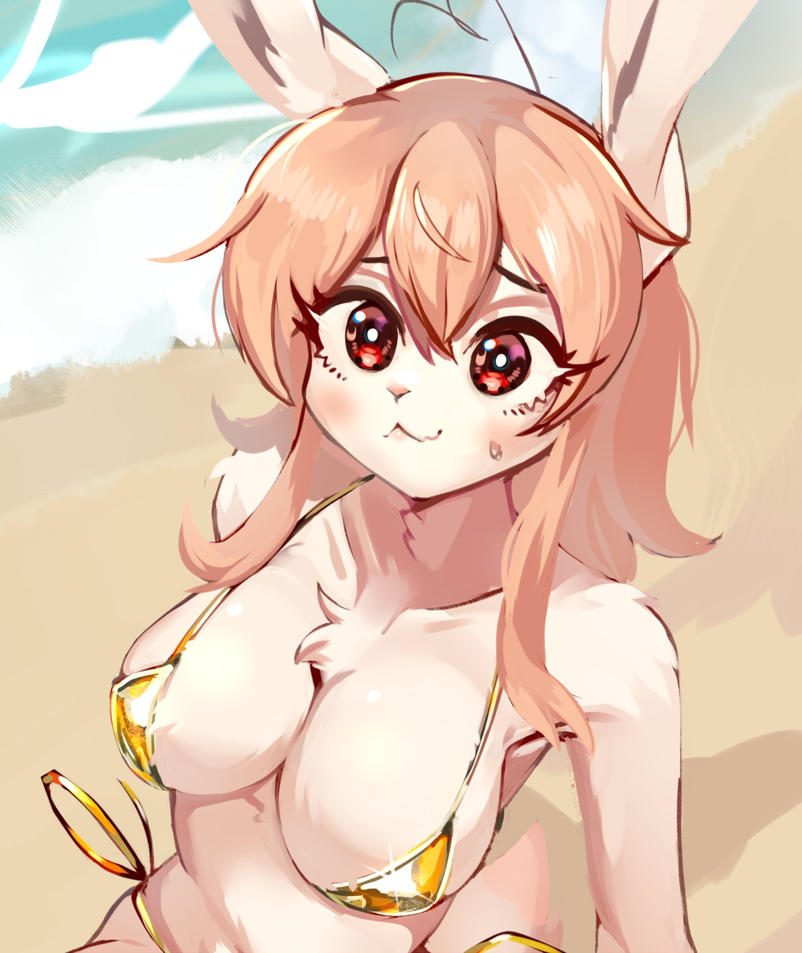 1girls, beach, big breasts, big eyes, bikini, breasts, brown body, brown fur, brown hair, bunny, bunny ears, bunny girl, cleavage, female, female only, furry, gold bikini, golden bikini, looking at viewer, medium breasts, psibunny, rabbit, rabbit ears, red eyes, solo, solo female, swimsuit, swimwear, yellow bikini