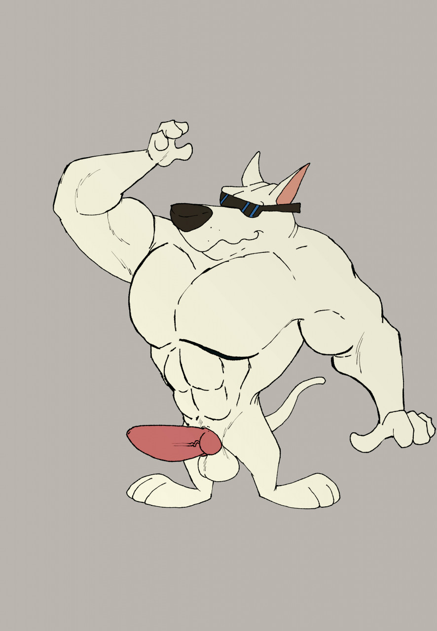 abs anthro arnold_the_pitbull balls canid canine canis domestic_dog eyewear genitals hi_res joesanchez knot male mammal muscular muscular_anthro muscular_male nude nude_male pecs penis pit_bull raised_arm simple_background smile solo standing sunglasses tail white_body