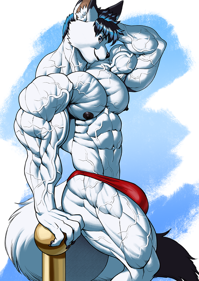 1boy abs anthro anthro_only biceps bulge dj_(djdarkfox) extreme_muscles male_only muscular_anthro muscular_male nipples pokkuti solo speedo veins veiny_arms veiny_muscles white_fur