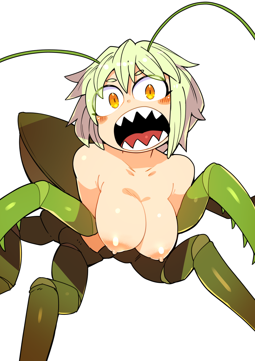 breasts character_request insect_girl ishuzoku_reviewers masha monster_girl nipples