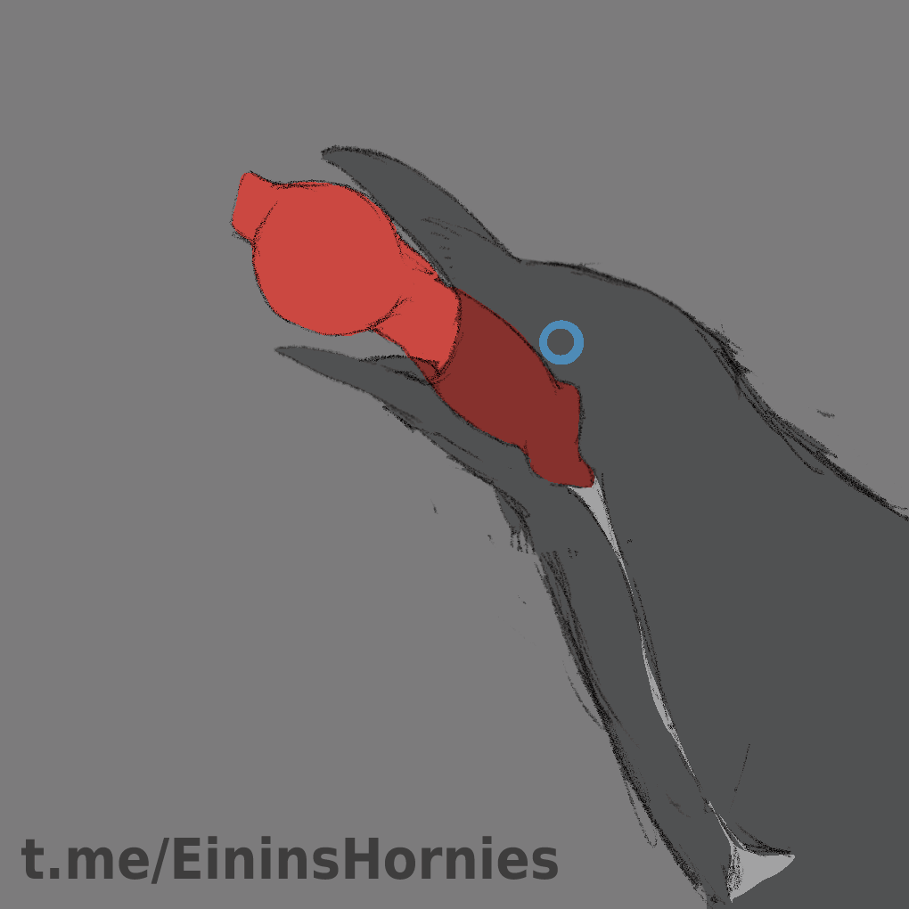 animal_genitalia animal_penis animated avian beastiality bird blue_eyes bodily_fluids canid canine_genitalia canine_penis corvid corvus_(genus) crow cum cum_in_mouth cum_inside dewlap_(anatomy) drinking drinking_cum duo einin fellatio feral feral_on_feral feral_only genital_fluids genitals gular_sac irrumatio knot knotting mammal neck_bulge oral oral_knotting oral_penetration oscine passerine penetration penile penis penis_in_mouth sex throat_swabbing tongue